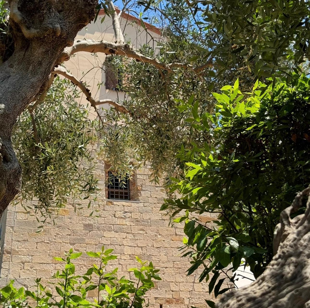 Apartahotel Madonna Del Poggio Cav