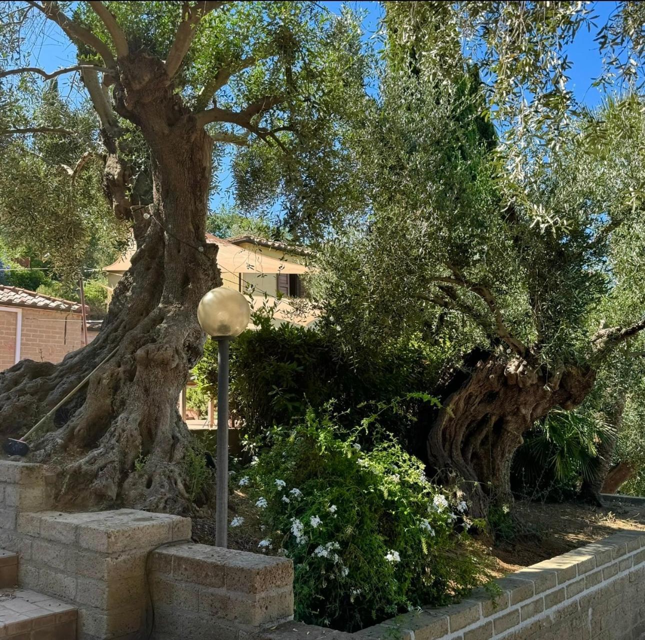 Madonna Del Poggio Cav