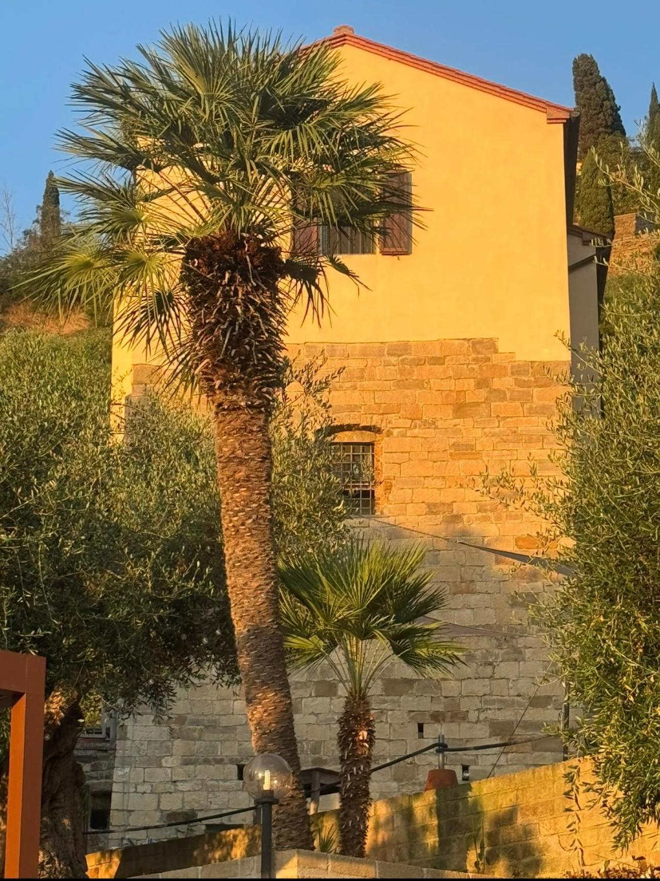 Madonna Del Poggio Cav *
