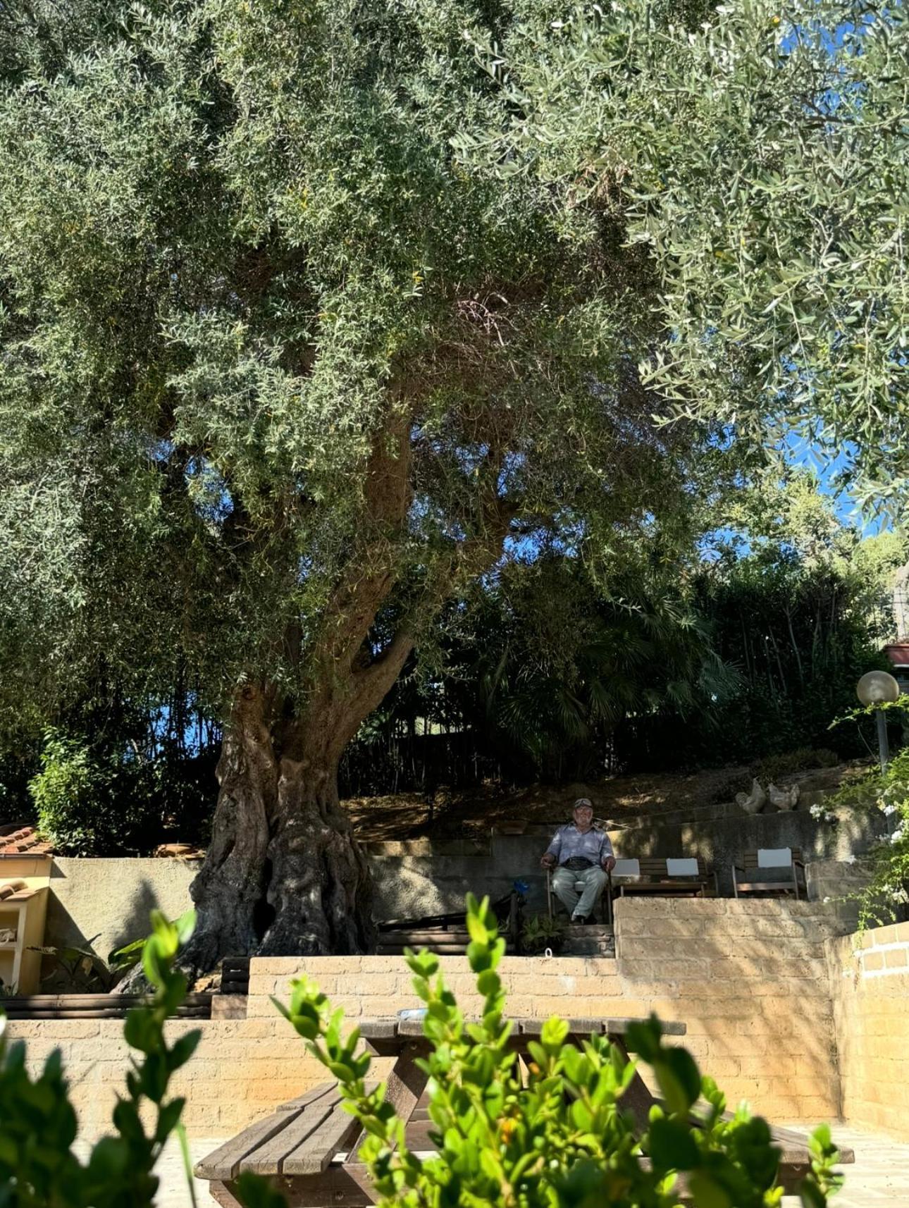 Aparthotel Madonna Del Poggio Cav